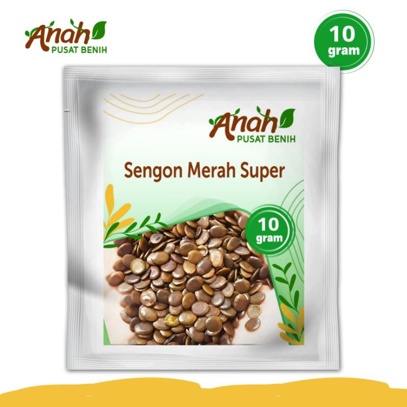 Benih sengon merah super 10 gram / bibit sengon / Hilya Farm