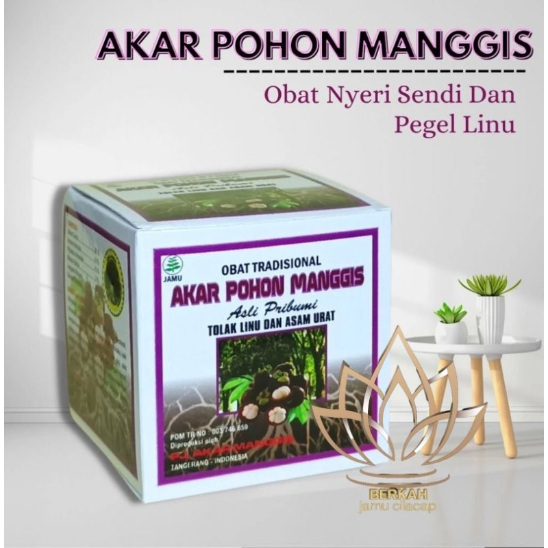 obat herbal akar pohon manggis original
