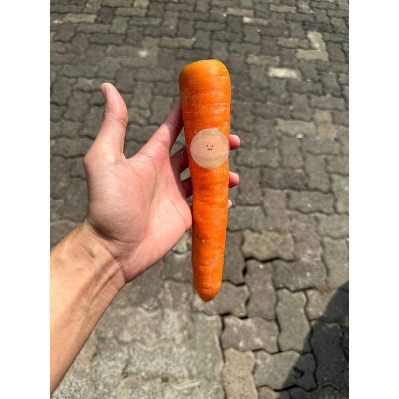 

WORTEL BRASTAGI / WORTEL BERSTAGI 1KG