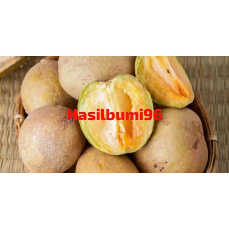 

BUAH SAWO MANIS 1KG