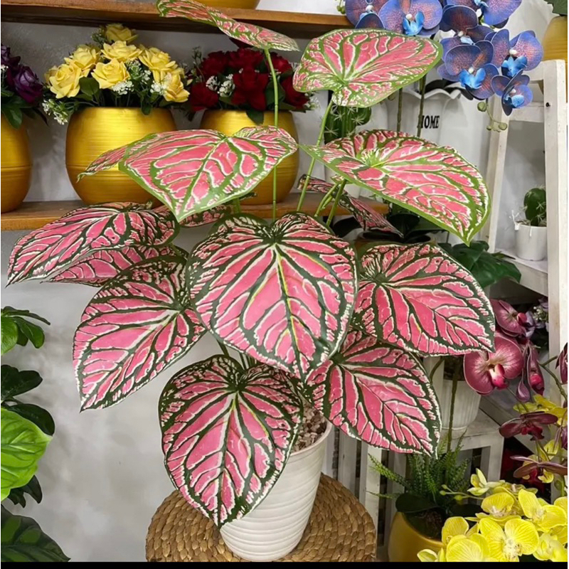 DAUN ARTIFICIAL JUMBO DAN POT (tanpa STANDING)