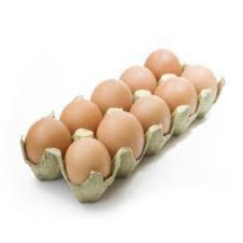 

Telur Ayam Negeri 10pcs / Mamamimi Mart