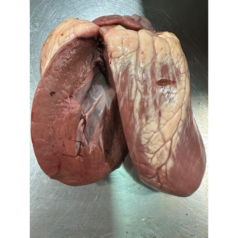 

Jantung sapi 500 gram