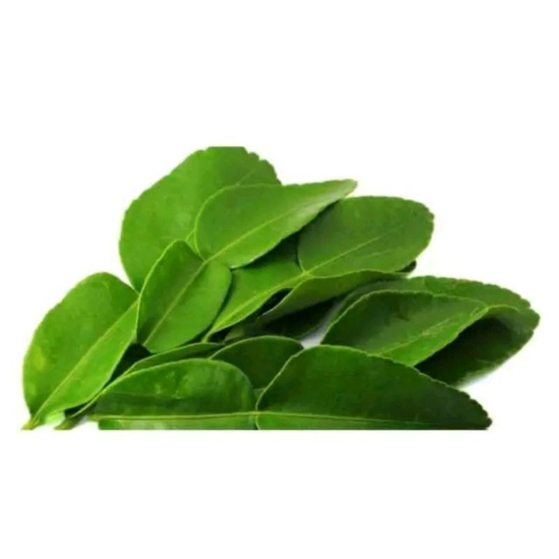 

daun jeruk purut