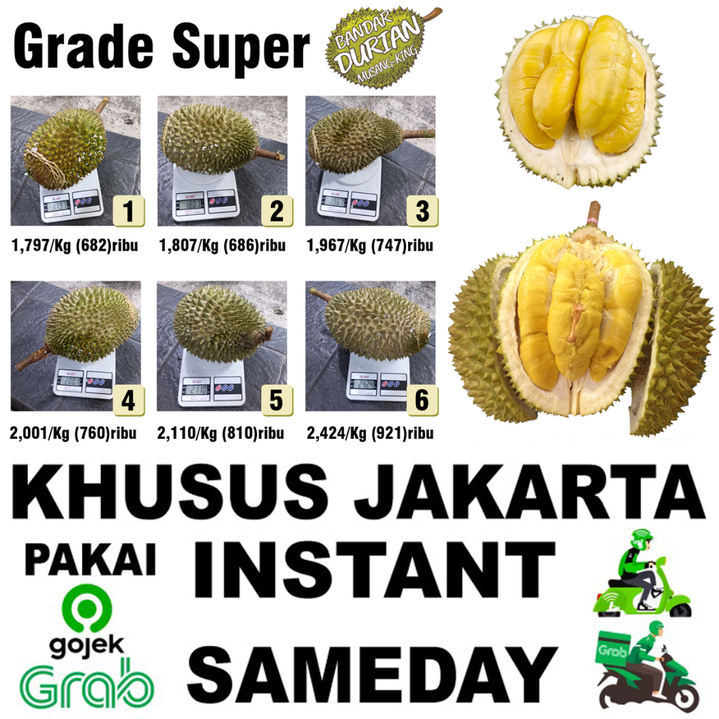 Durian MUSANGKING Grade Super Asli Malaysia/Durian Sultan Musang King 1 Buah Utuh (Bukan durian kupa