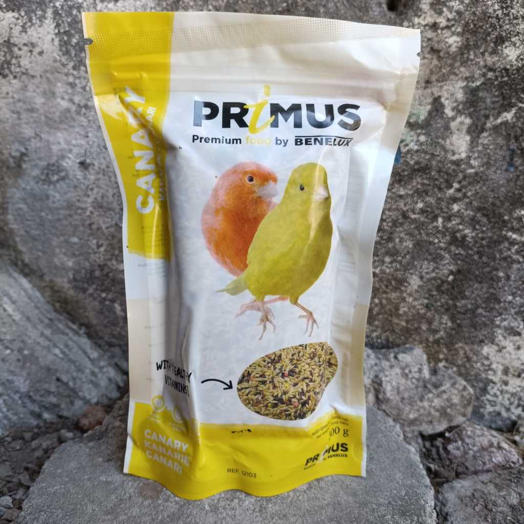 PRIMUS CANARY PREMIUM BENELUX PRIMUS KENARI PAKAN KENARI IMPORT