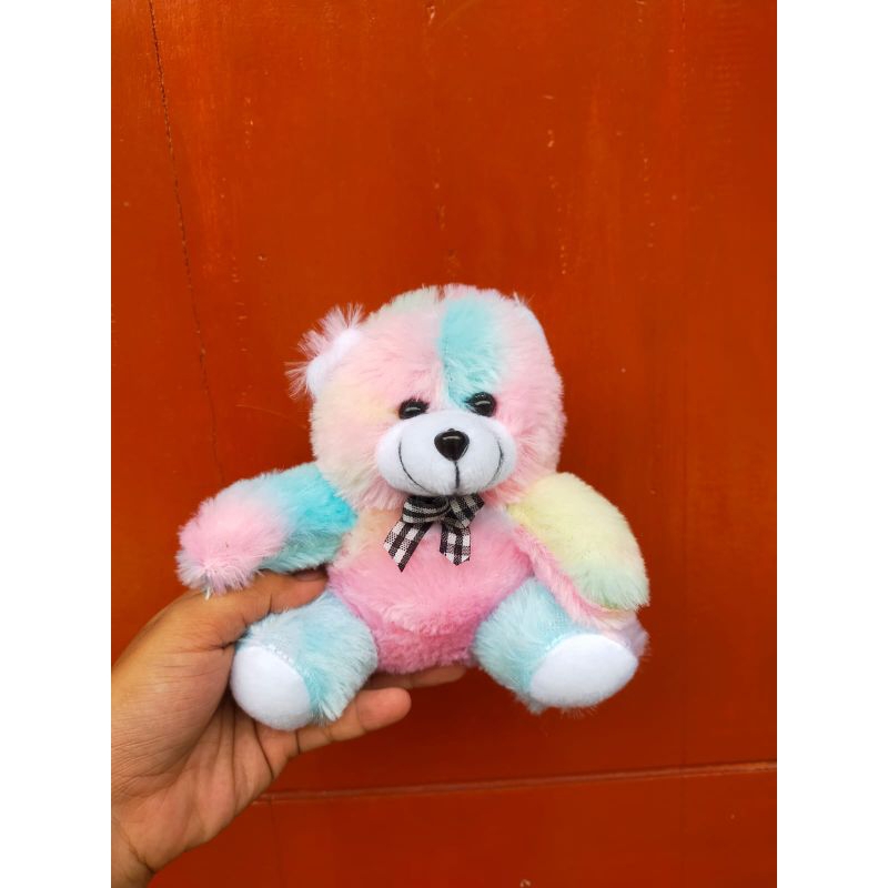 beruang mini rasfur PREMIUM QUALITY 16 cm boneka teddy bear rainbow boneka