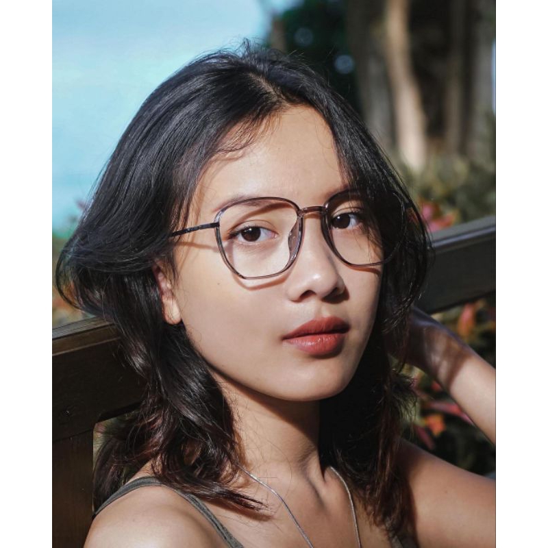 Paket frame 98008 Lensa photocromic blueray