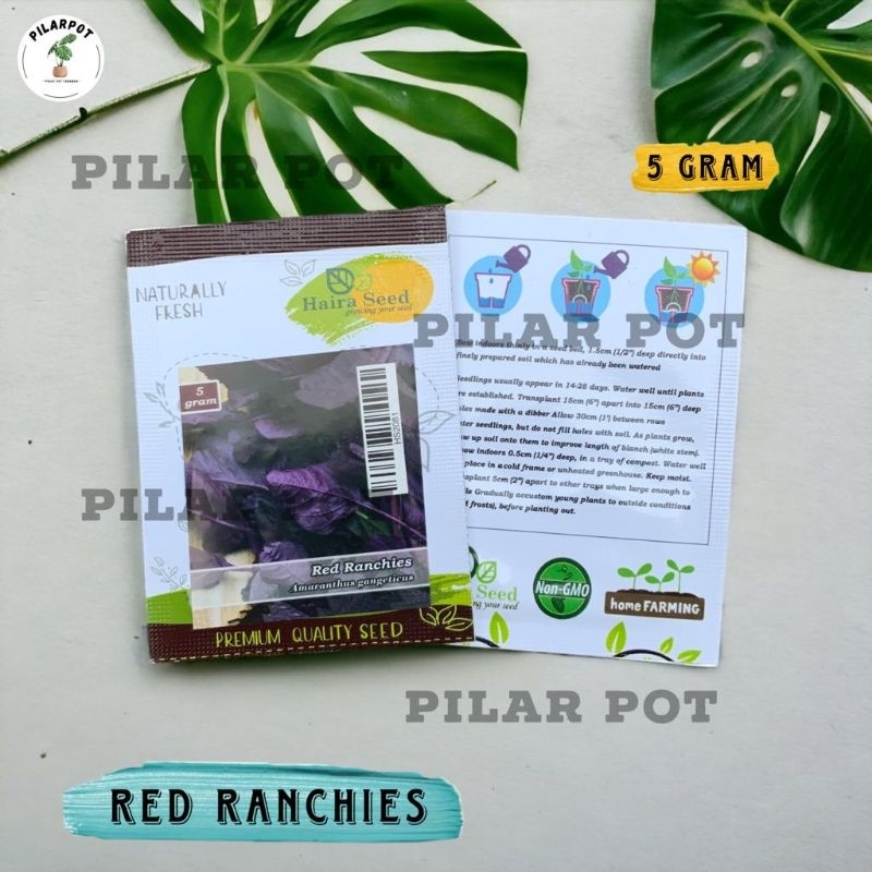 Benih Bibit Bayam Merah Red Ranchies Haira Seed - BAYAM MERAH RED RANCHIES