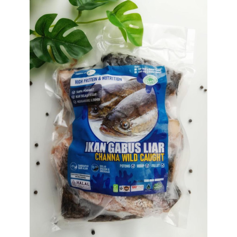 

Ikan Gabus Potong 1 kg Pure Organic