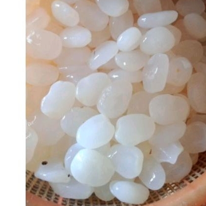 

KOLANG KALING FRESS LOKAL KUALITAS SUPER