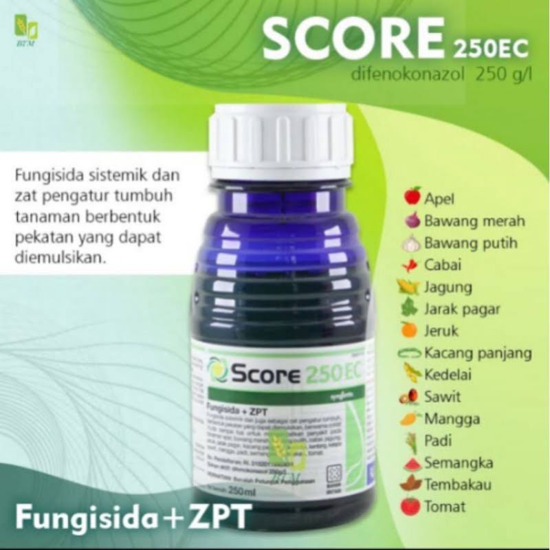 Fungisida Score 250 EC