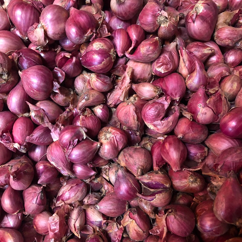 

Bawang merah