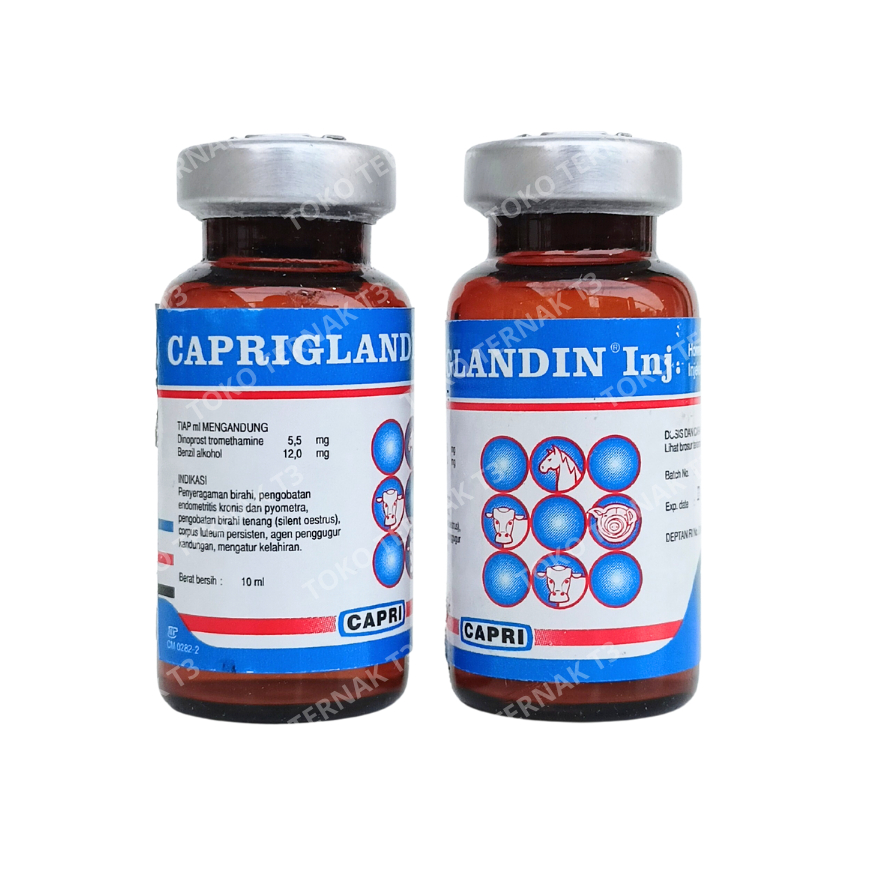 CAPRIGLANDIN INJ 10 ml - Hormon Sinkronisasi Estrus Sapi Kambing Domba Kuda Babi