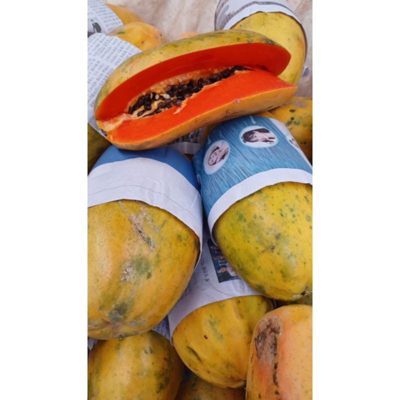 

pepaya California 1kg