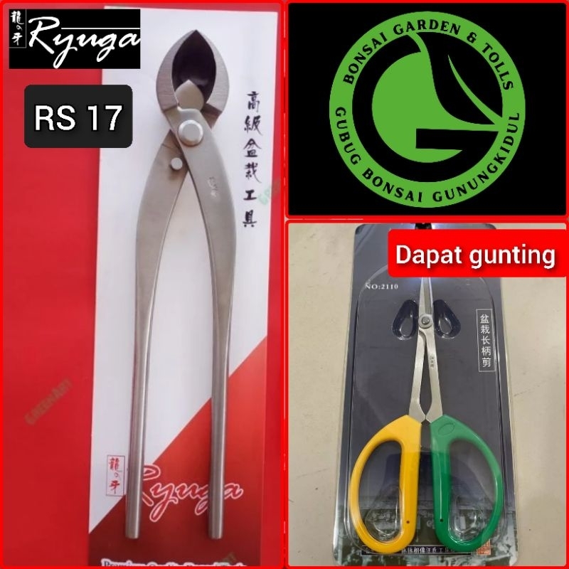 krekut catok bonsai RYUGA RC RS 17 miring carbon stainles 28 cm