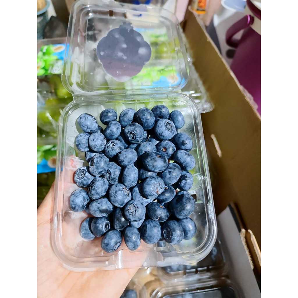 

BUAH BLUEBERRY AFRIKA PRODUCT ZIMBABWE -RUMAH ZANAWA