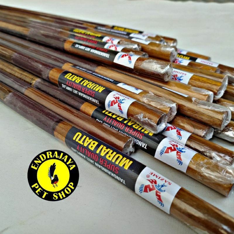 TANGKRINGAN BURUNG MURAI BATU SAZIME