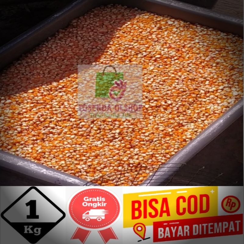 jagung kering biasa pupil kecil / jagung kristal lancip 1kg