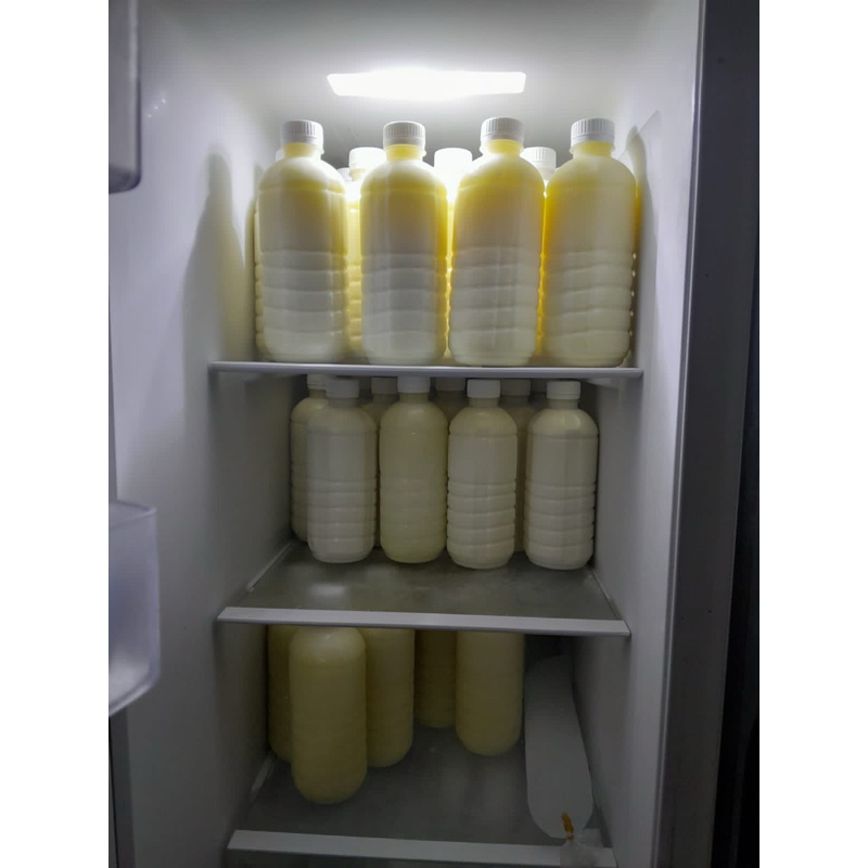 

Susu Kambing Etawa Murni