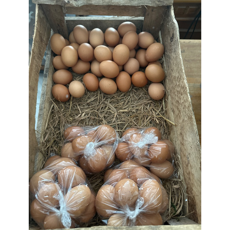 

Telur Ayam Boiler