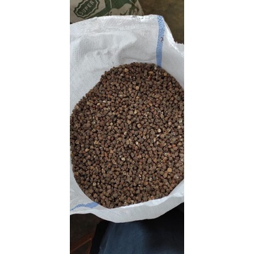 

BIJI KELOR GUNDUL 1KG