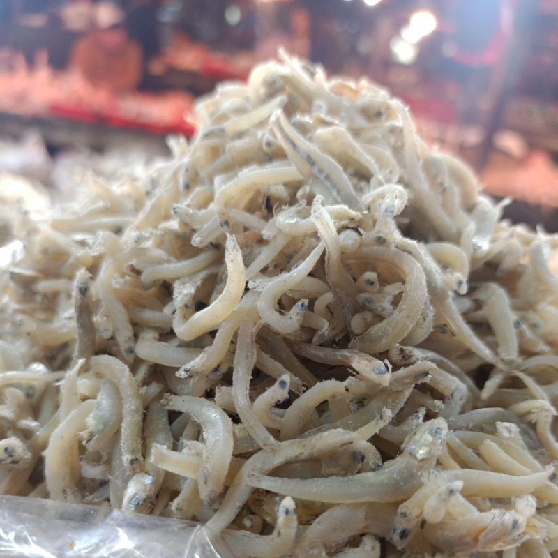 

teri medan