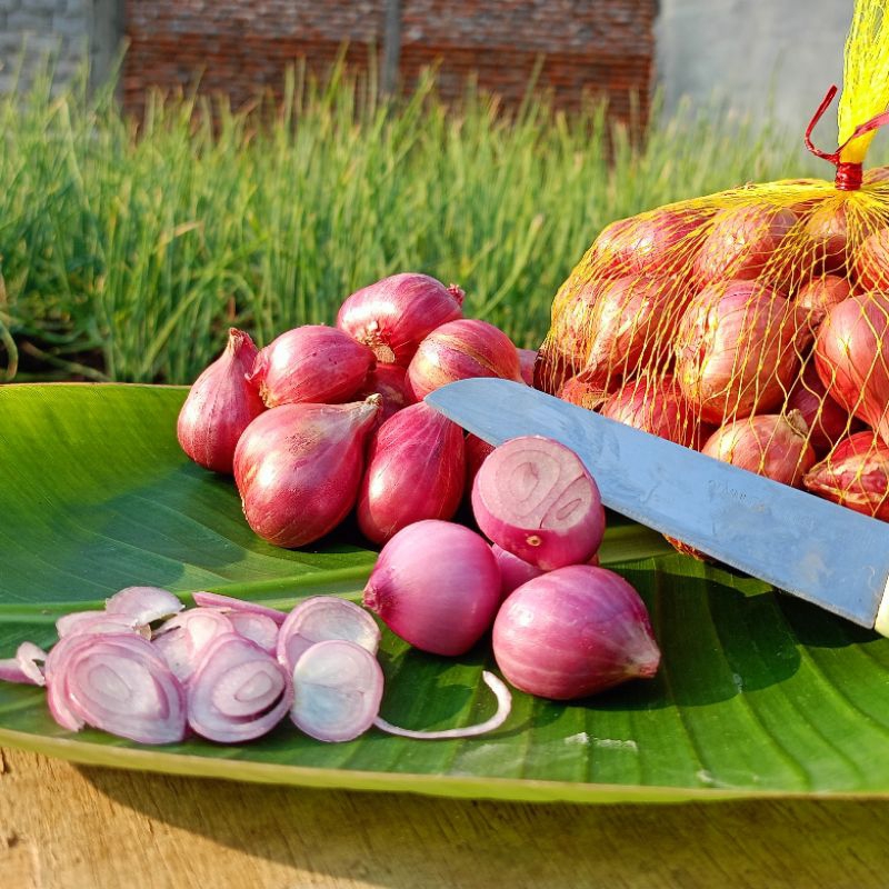 

bawang merah probolinggo 1kg campuran besar kering murah