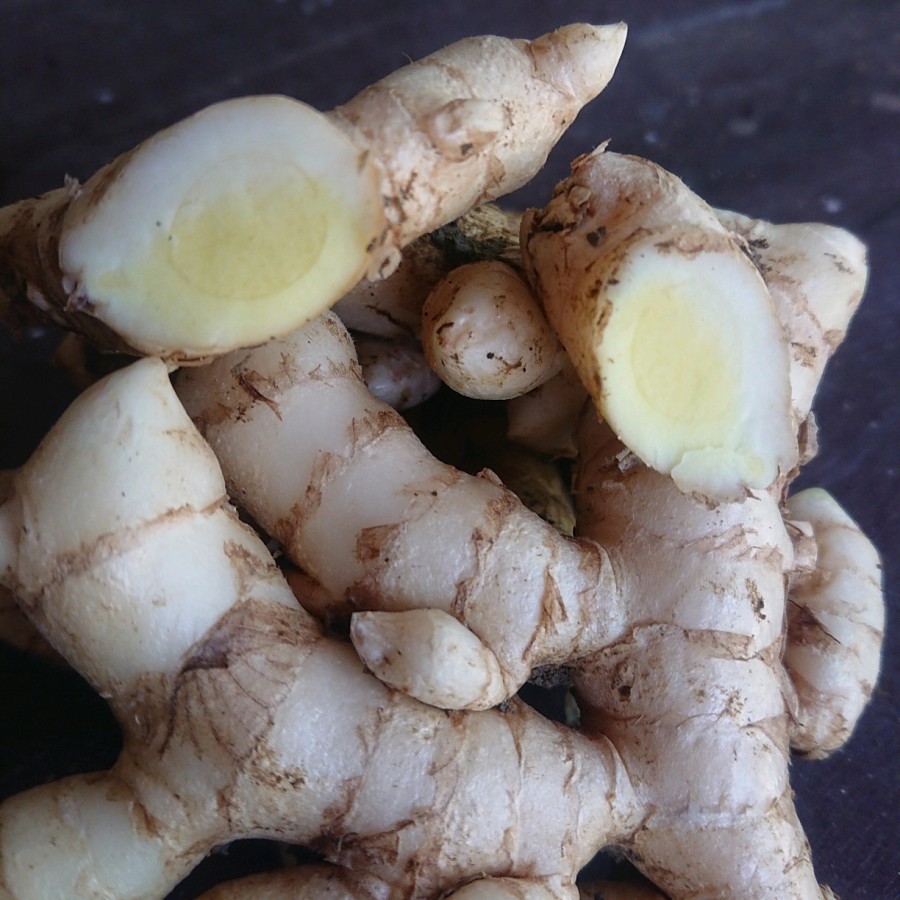 

Promo Temu Putih Segar Kunyit Kunir 1Kg Curcuma Zedoaira