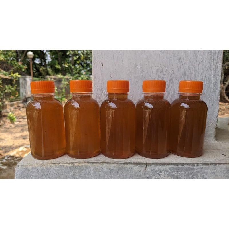 

Madu Lebah Nirsengat Laeviceps