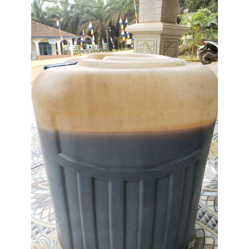 

madu asli