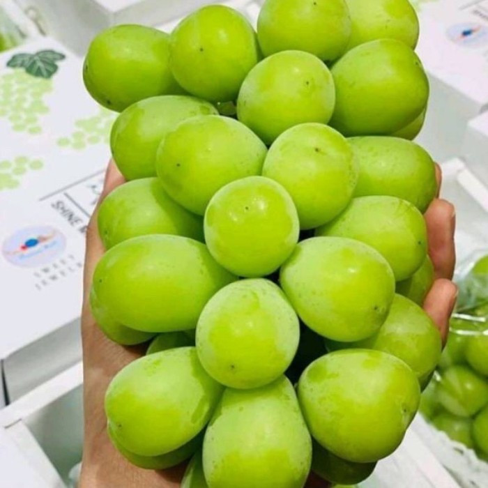 

Anggur Shine muscat curah 500gr / Jbp_fresh