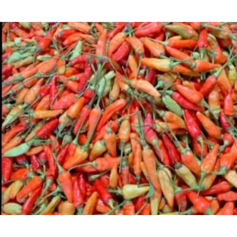 

cabe rawit merah 250grm