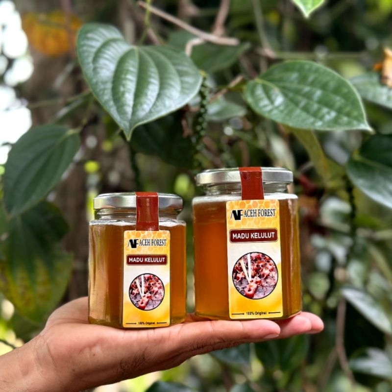 

Madu Kelulut Aceh Forest 180ml