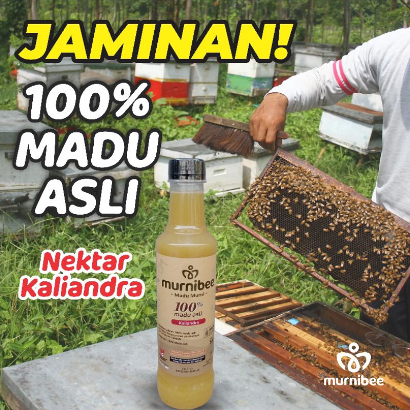 

Murnibee Madu Nektar Kaliandra 100% Asli Murni dari Lebah 500 gram Alami Tanpa Campuran Raw Honey