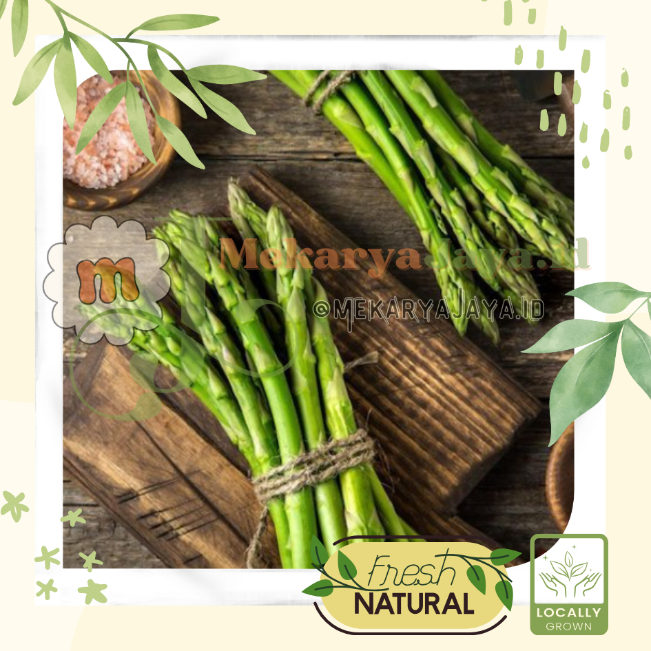

[MJ-Fresh] - Asparagus / Akar Parsi