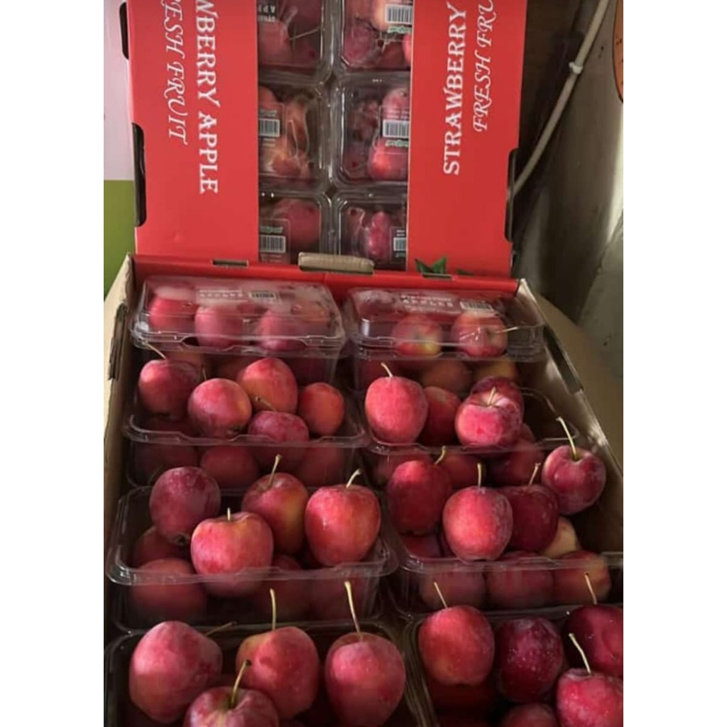 

INSTAN BUAH APEL CHERRY APEL CANDY APEL STRAWBERRY Pack 500 gr