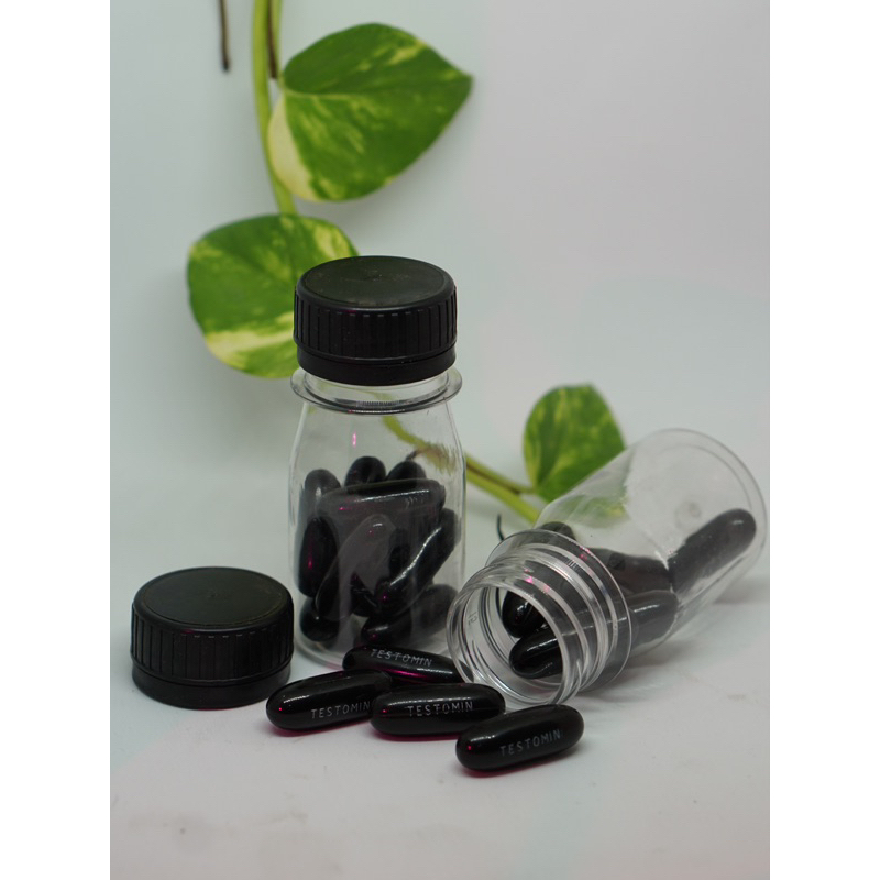 Testomin H3 vitamin pria