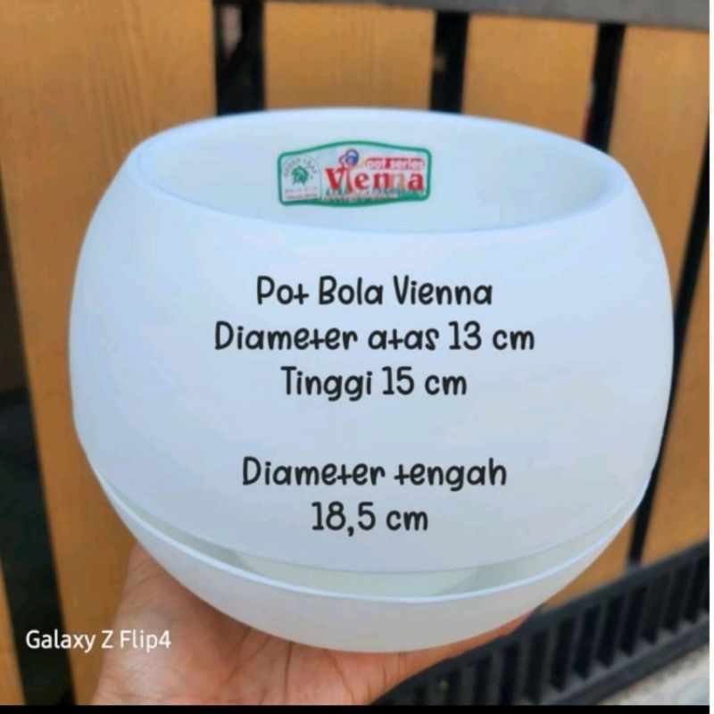 Pot Bola Glossy & Vienna Ukuran L Pot Bola Plastik