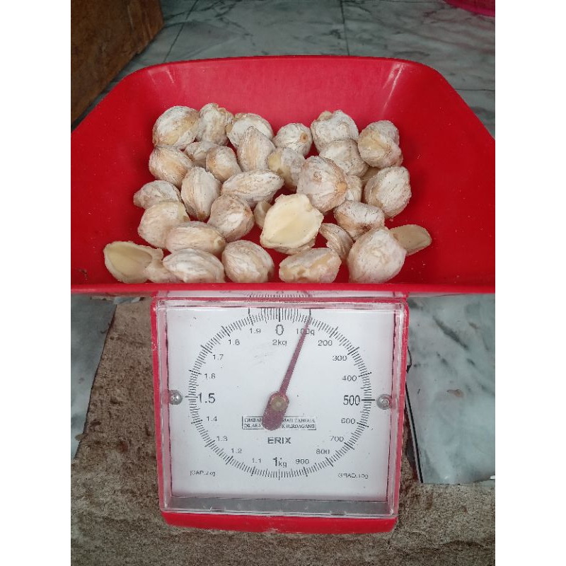 

kemiri 100 gram