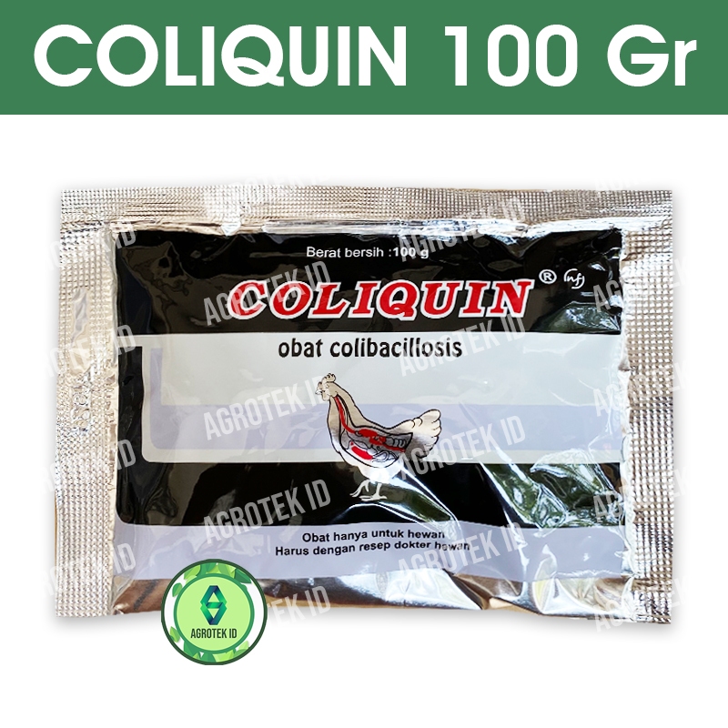COLIQUIN 100 gram Obat Colibacillosis Kolera Unggas Ayam Bebek