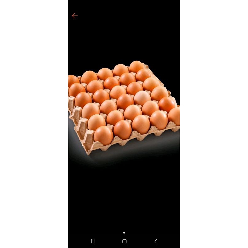 

sembako ( beras , telur dll )