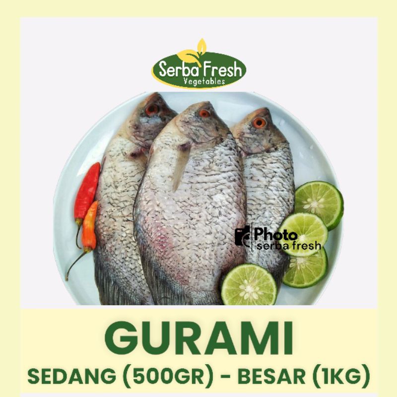 

GURAMI | 500GR & 1KG | SERBA FRESH