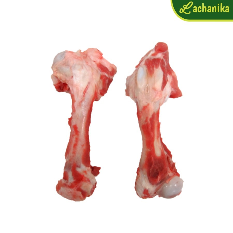 

Tulang Sengkel Sapi / Tulang Sumsum