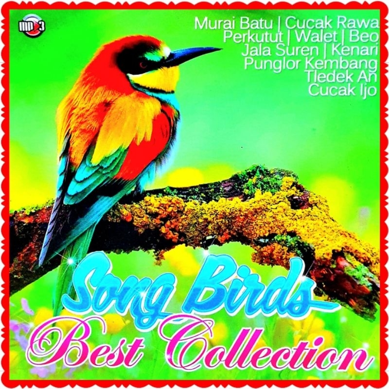 KASET CD MP3 SUARA BURUNG-SUARA BURUNG-SUARA BURUNG MURAI-SUARA BURUNG MP3-SUARA BURUNG WALET ASLI-S
