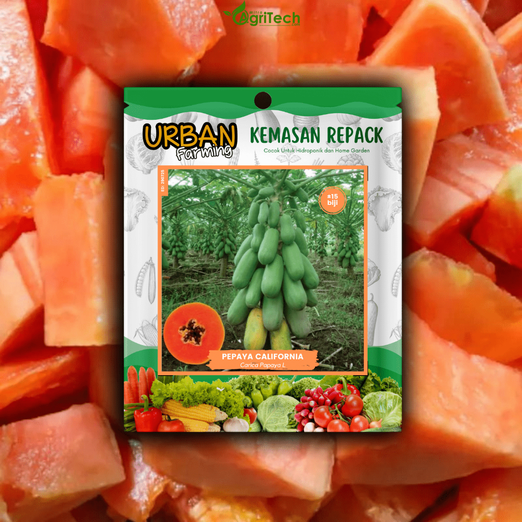 BENIH BIBIT PEPAYA CALIFORNIA ISI 15 BIJI UNGGUL F1 PAPAYA MANIS