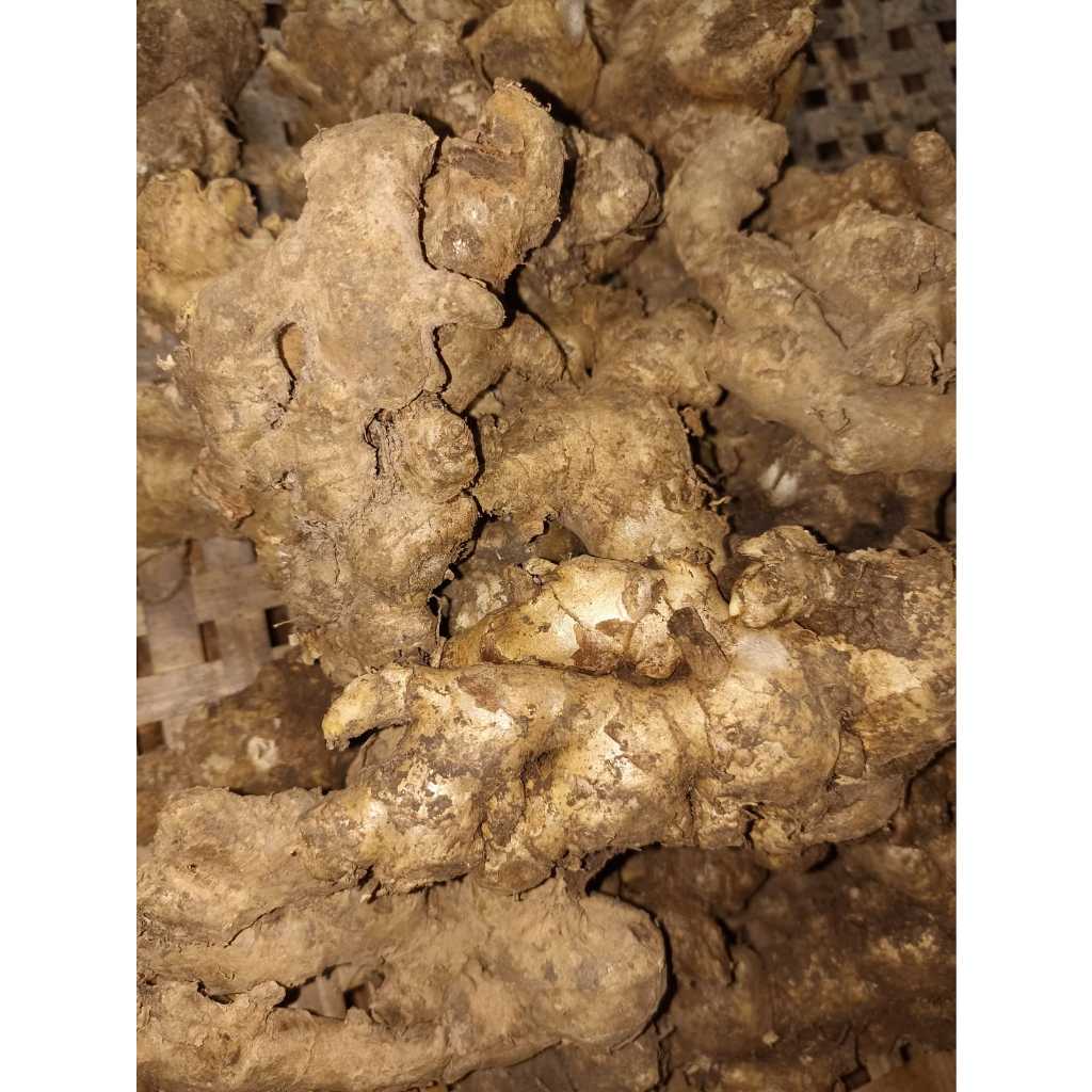 

RB Jahe Emprit Jawa Pilihan 1Kg