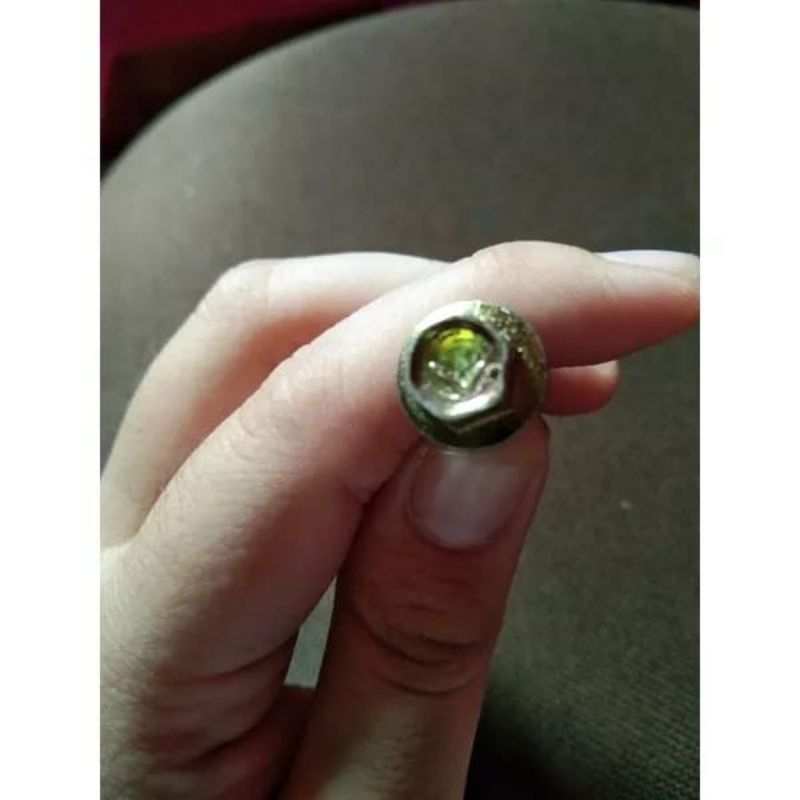 PAKU ROOFING MOON LION