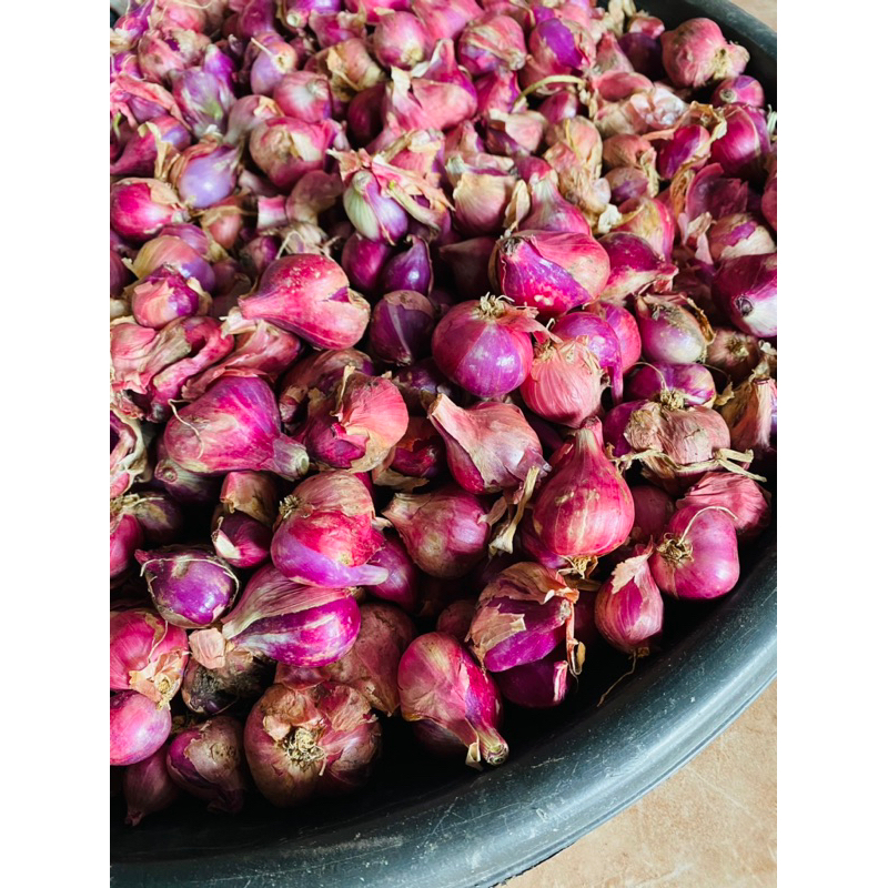 

bawang merah sukomoro 1/2 kg