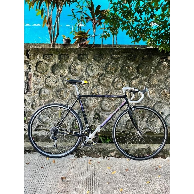 Raleigh Usa Technium Olympian